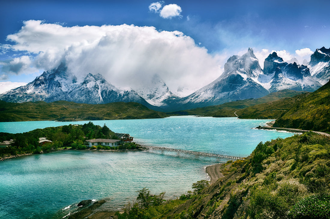 Chile: Wildlife Paradise