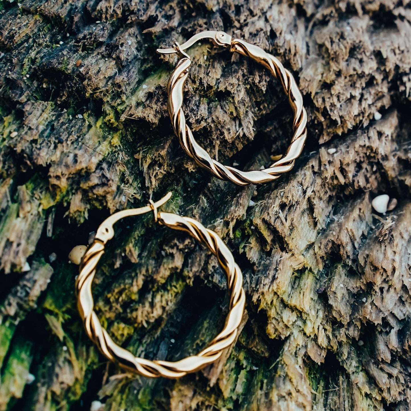 Twisted Hoop Earrings