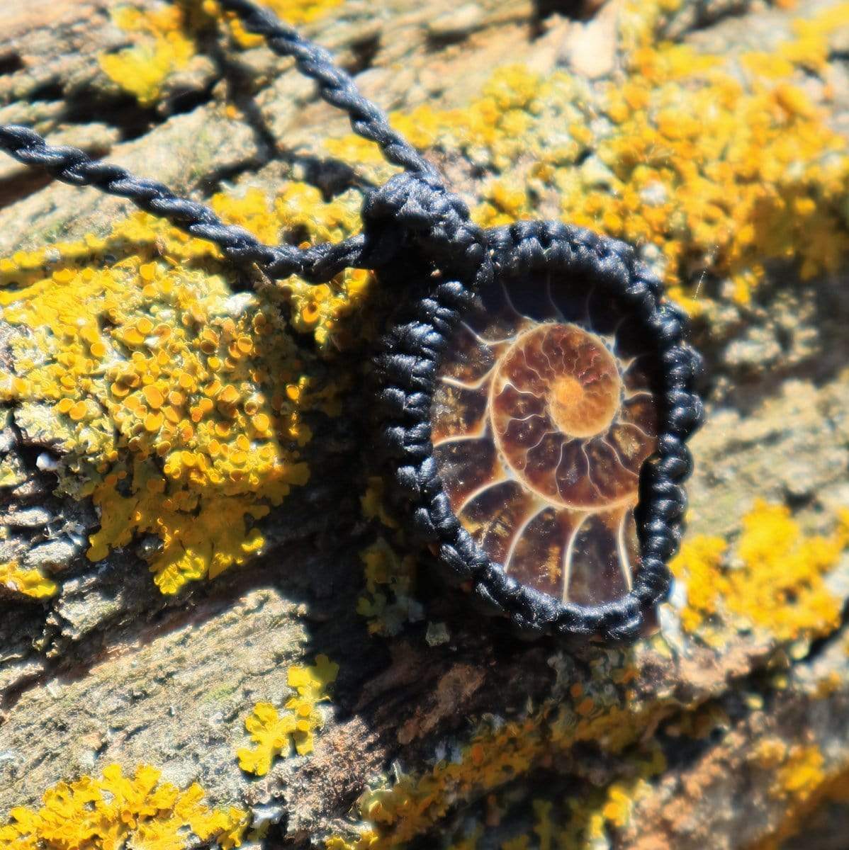Macrame pedant Ammonite Pendant